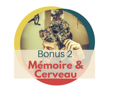 Image du module Bonus 3 : Mémoire et Cerveau